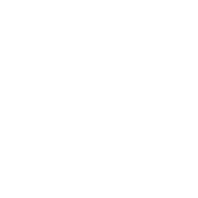 Branex Creative Agency in Dubai seal
