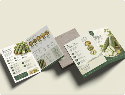 Brochure design mockup — open white brochure